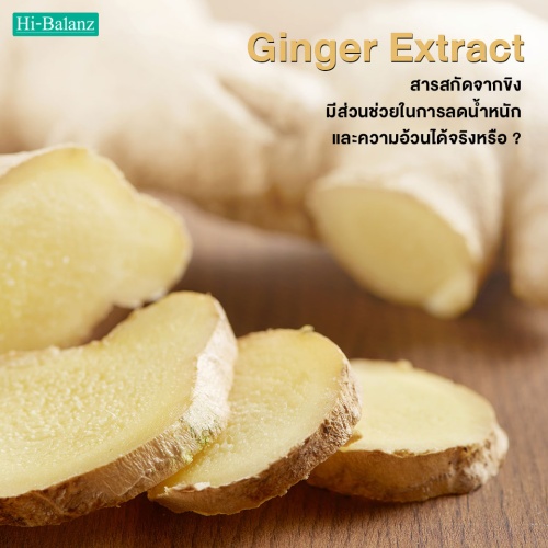 สารสกัดจากขิง (Ginger Extract) มีส่วนช่วยในการลดน้ำหนักและความอ้วนได้จริงหรือ?
