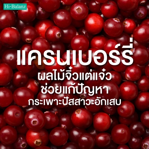 สารสกัดแครนเบอร์รี่ (Cranberry) ผลไม้จิ๋วแต่แจ๋ว ช่วยแก้ปัญหากระเพาะปัสสาวะอักเสบ