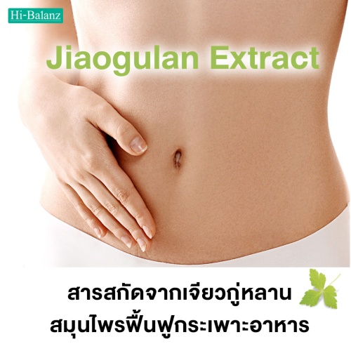 สารสกัดจากเจียวกู่หลาน (Jiaogulan Extract) สมุนไพรฟื้นฟูกระเพาะอาหาร