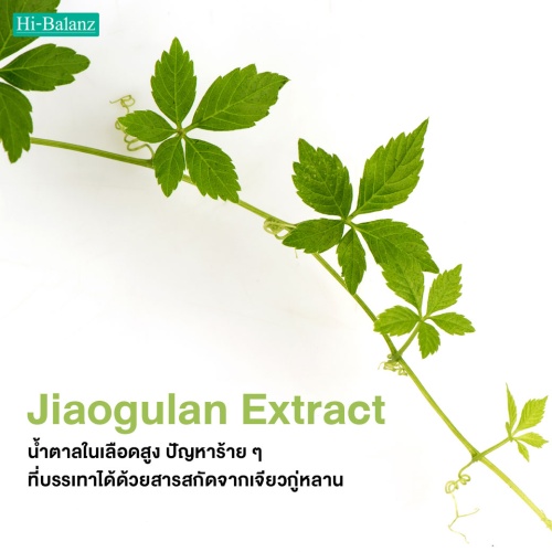 น้ำตาลในเลือดสูงปัญหาร้ายๆที่บรรเทาได้ด้วยสารสกัดจากเจียวกู่หลาน (Jiaogulan Extract)