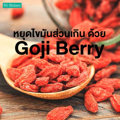 หยุดไขมันส่วนเกิน ด้วยสรรพคุณจากสารสกัดโกจิเบอร์รี่ (Goji Berry Extract)