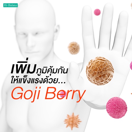 เพิ่มภูมิคุ้มกันให้แข็งแรงด้วยสารสกัดจากโกจิเบอร์รี่ (Goji Berry Extract)