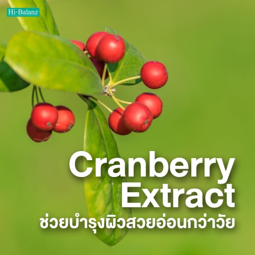 สารสกัดจากแครนเบอร์รี่ (Cranberry Extract) ช่วยบำรุงผิวสวยอ่อนกว่าวัย