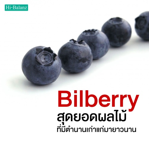 สารสกัดจากบิลเบอร์รี่ (Bilberry) สุดยอดผลไม้ที่มีตำนานเก่าแก่มายาวนาน