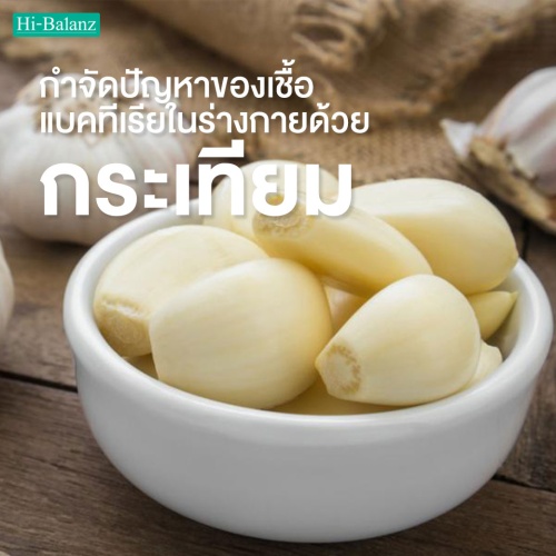 กำจัดปัญหาของเชื้อแบคทีเรียในร่างกายด้วย สารสกัดจากกระเทียม (Garlic Extract)