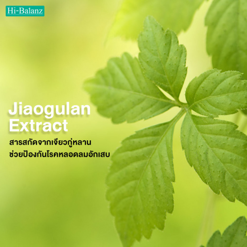 สารสกัดจากเจียวกู่หลานช่วยป้องกันโรคหลอดลมอักเสบ (Jiaogulan Extract)