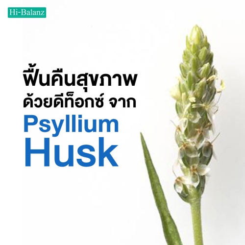 ฟื้นคืนสุขภาพ ด้วยดีท็อกซ์จาก ไซเลียม ฮัสค์ (Psyllium Husk)