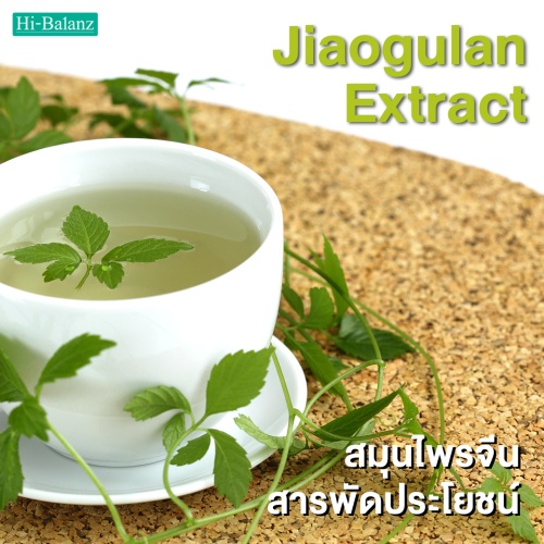 สารสกัดจากเจียวกู่หลาน (Jiaogulan Extract) สมุนไพรจีนสารพัดประโยชน์