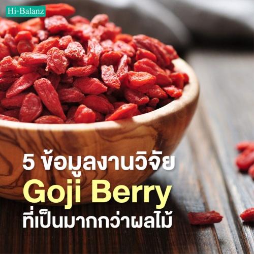 5 ข้อมูลงานวิจัย! ของโกจิเบอร์รี่ (Goji Berry) ที่เป็นมากกว่าผลไม้