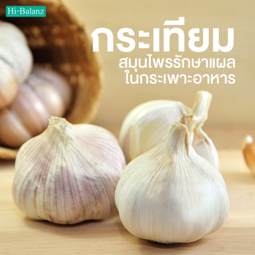 กระเทียม (Garlic) สมุนไพรรักษาแผลในกระเพาะอาหาร