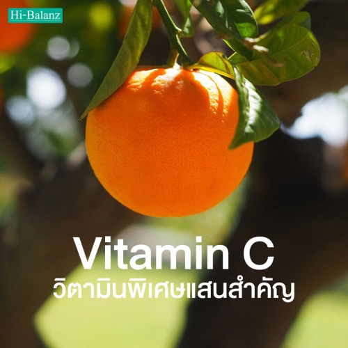 วิตามินซี (Vitamin C) วิตามินพิเศษแสนสำคัญ
