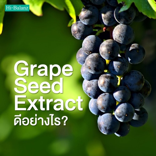 สารสกัดจากเมล็ดองุ่น(Grape Seed Extract )ดีอย่างไร?