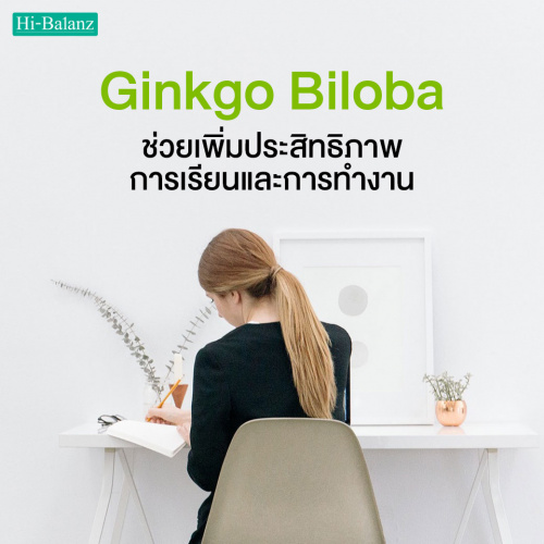 4 สรรพคุณ ของใบแปะก๊วย (Ginkgo Biloba) ที่ช่วยเพิ่มประสิทธิภาพการเรียนและการทำงาน