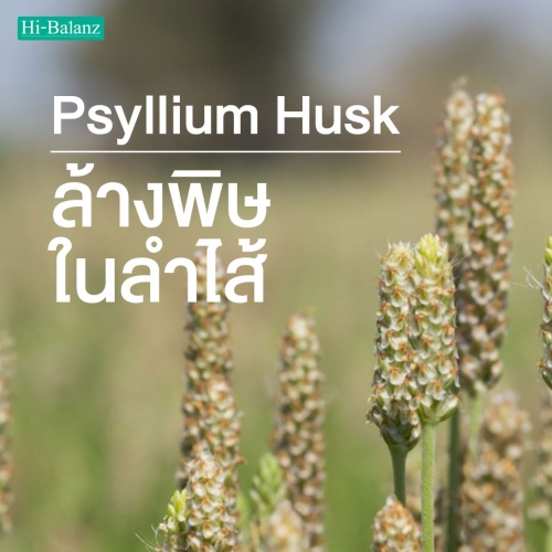 ไซเลียม ฮัสค์ (Psyllium Husk) กับการล้างพิษในลำไส้