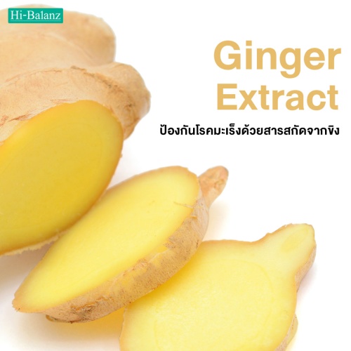 ป้องกันโรคมะเร็งด้วยสารสกัดจากขิง (Ginger Extract)