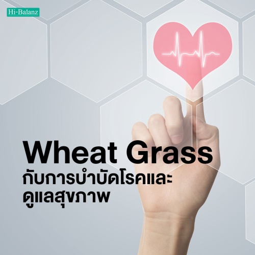 ต้นอ่อนข้าวสาลี (Wheat Grass) กับการบำบัดโรคและดูแลสุขภาพ