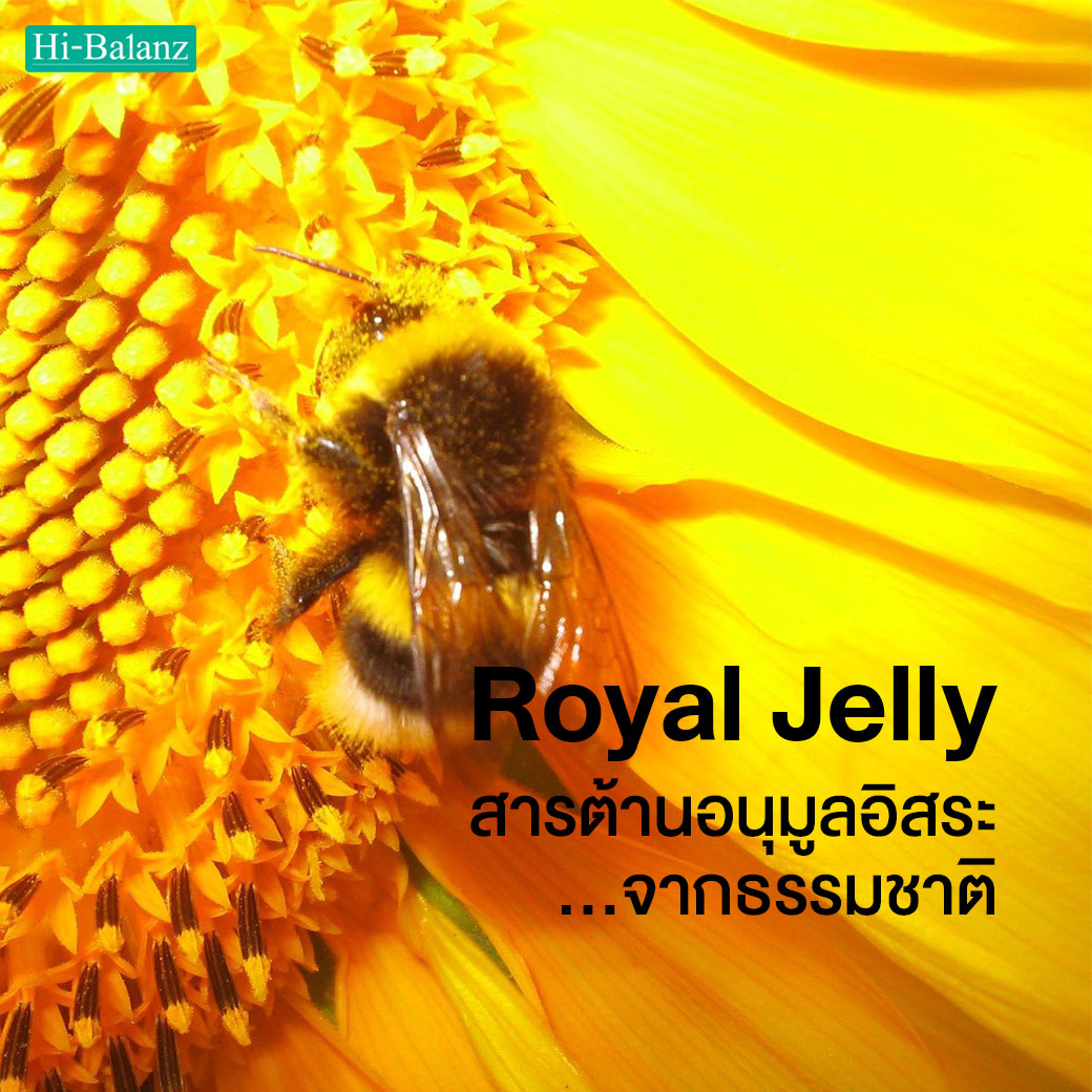 นมผึ้ง (Royal Jelly) สารต้านอนุมูลอิสระจากธรรมชาติ - อาหารเสริม Hi ...