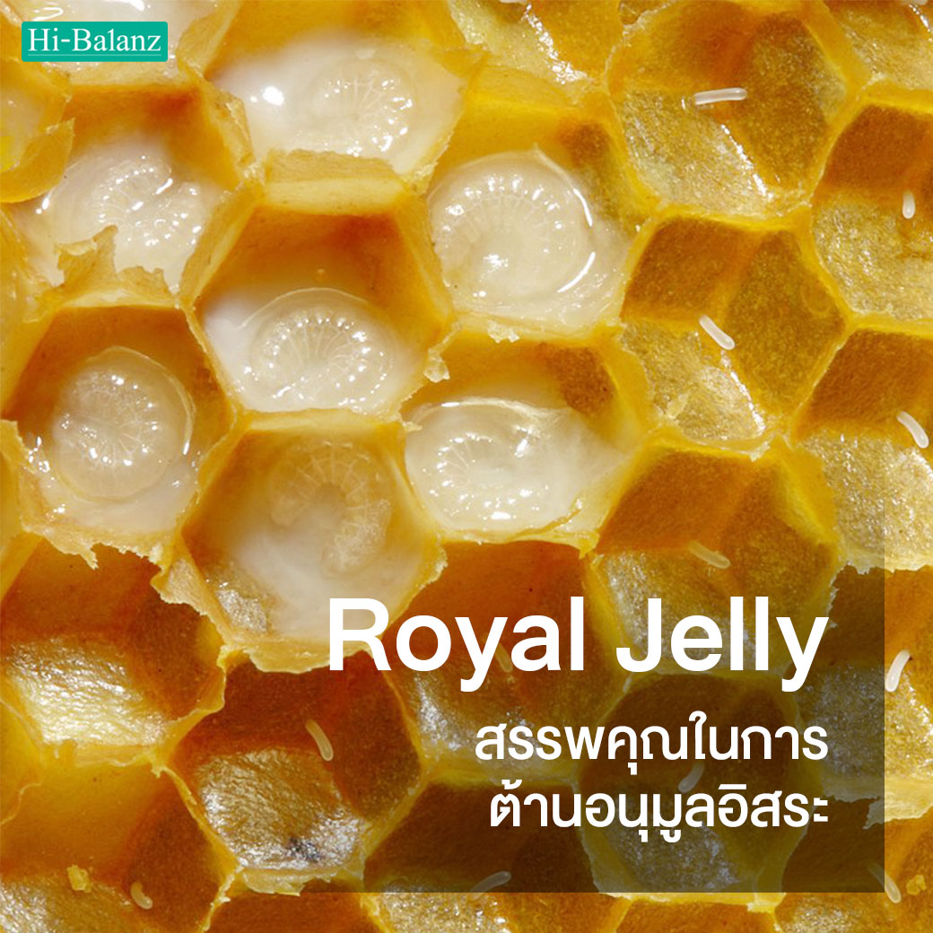 สารสกัดจากนมผึ้ง (Royal Jelly) กับสรรพคุณในการต้านอนุมูลอิสระ - อาหาร ...