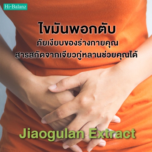 ไขมันพอกตับ ภัยเงียบของร่างกายคุณ สารสกัดจากเจียวกู่หลานช่วยคุณได้ (Jiaogulan Extract