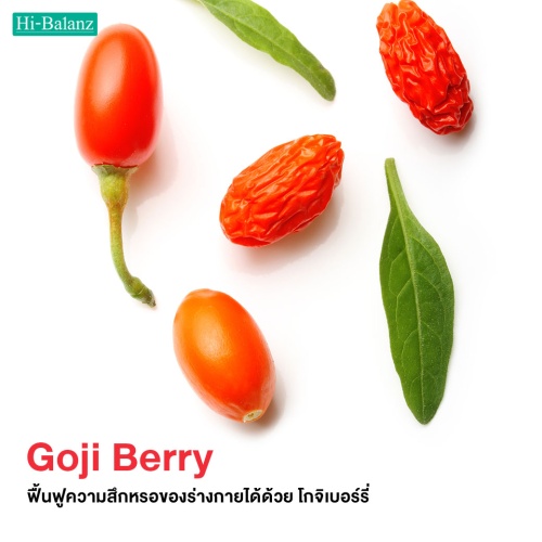 ฟื้นฟูความสึกหรอของร่างกายได้ด้วย สารสกัดจากโกจิเบอร์รี่ (Goji Berry Extract)