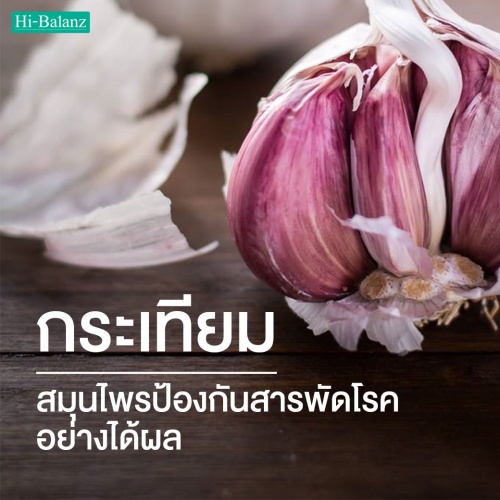 กระเทียม (Garlic Extract) บำบัด สมุนไพรป้องกันสารพัดโรคร้ายอย่างได้ผล