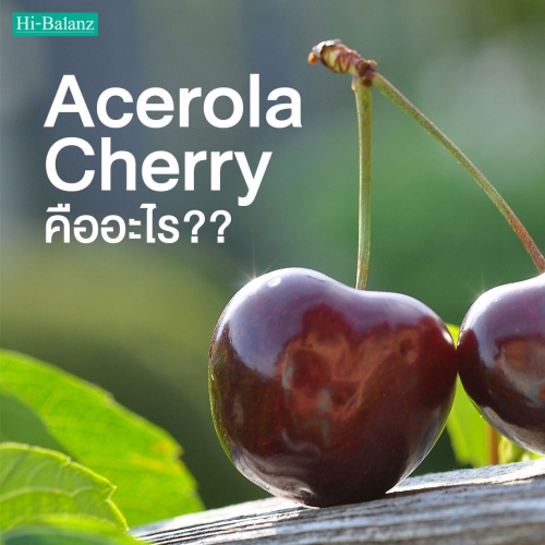 อะเซโรล่า เชอร์รี่ (Acerola Cherry) คืออะไรและมีความสำคัญจริงหรือ