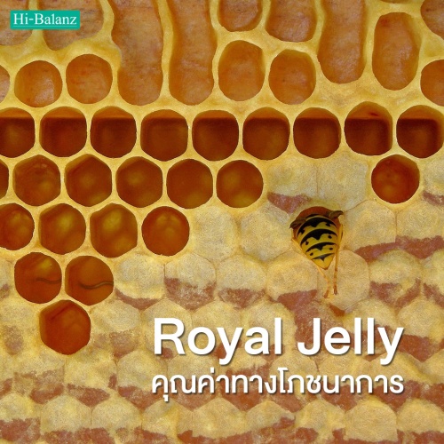 สารสกัดจากนมผึ้ง (Royal Jelly) แหล่งรวมแห่งคุณค่าทางโภชนาการ