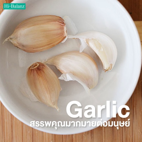 ทำความรู้จักกับสาร Allicin ในกระเทียม (Garlic )ที่มีสรรพคุณมากมายต่อมนุษย์