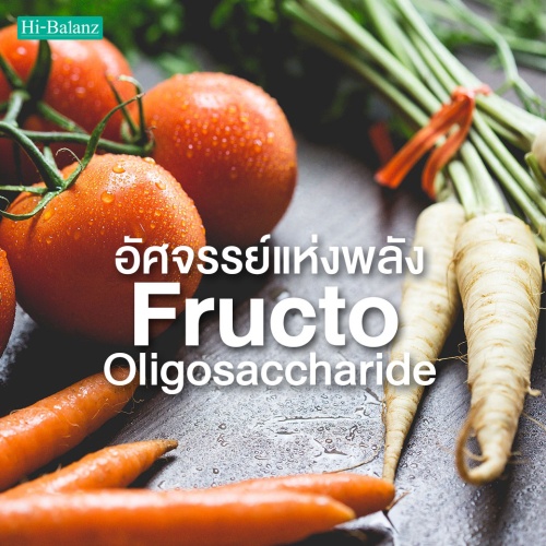 อัศจรรย์แห่งพลัง Fructo Oligosaccharide (FOS) ในอาหารเสริม