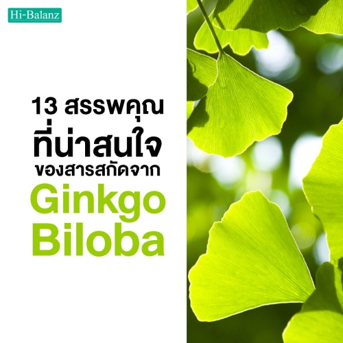 13 สรรพคุณที่น่าสนใจของสารสกัดจากใบแปะก๊วย (Ginkgo Biloba)