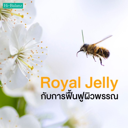 สารสกัดจากนมผึ้ง (Royal Jelly) กับการฟื้นฟูผิวพรรณ