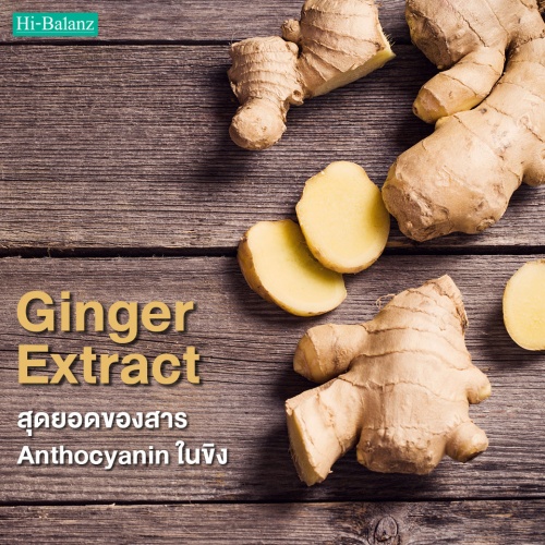 สุดยอดของสาร Anthocyanin ในขิง(Ginger Extract)