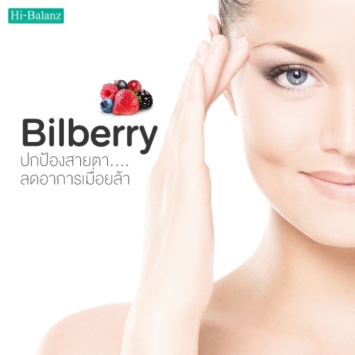 Bilberry ปกป้องสายตาลดอาการเมื่อยล้า