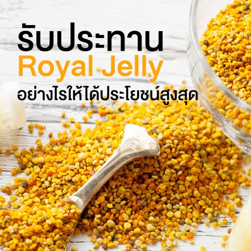 รับประทาน สารสกัดจากนมผึ้ง (Royal jelly) อย่างไรให้ได้ประโยชน์สูงสุด
