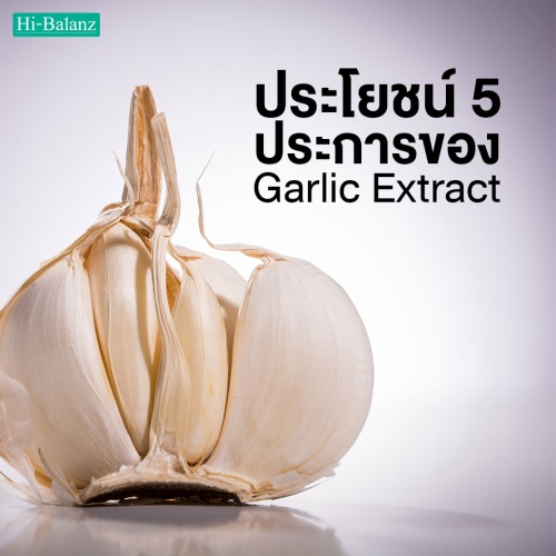 ประโยชน์ 5 ประการของ สารสกัดจากกระเทียม (Garlic Extract)