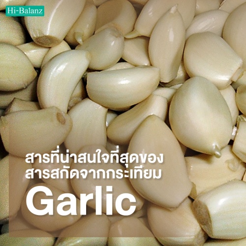 มาทำความรู้จักกับสารที่น่าสนใจที่สุดของสารสกัดจากกระเทียม (Garlic Extract) กัน