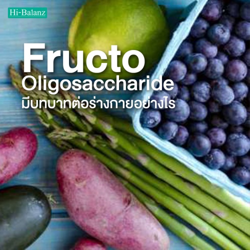 Fructo Oligosaccharide (FOS) มีบทบาทต่อร่างกายอย่างไร