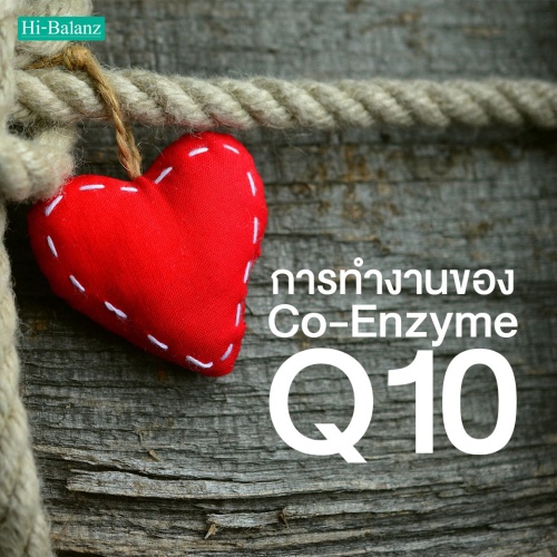 การทำงานของ โค-เอนไซม์ คิวเท็น (Co-Enzyme Q10) ที่มีผลต่อร่างกาย