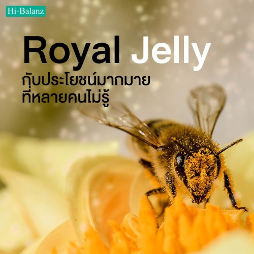 สารสกัดจากนมผึ้ง (Royal Jelly) กับประโยชน์มากมายที่หลายคนไม่รู้