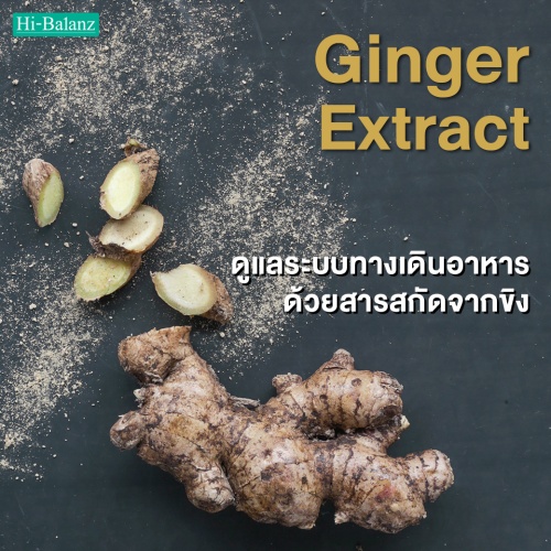 ดูแลระบบทางเดินอาหารด้วยสารสกัดจากขิง (Ginger Extract)