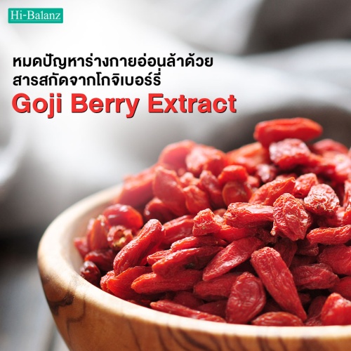 หมดปัญหาร่างกายอ่อนล้าด้วยจากสารสกัดจากโกจิเบอร์รี่ (Goji berry Extract)